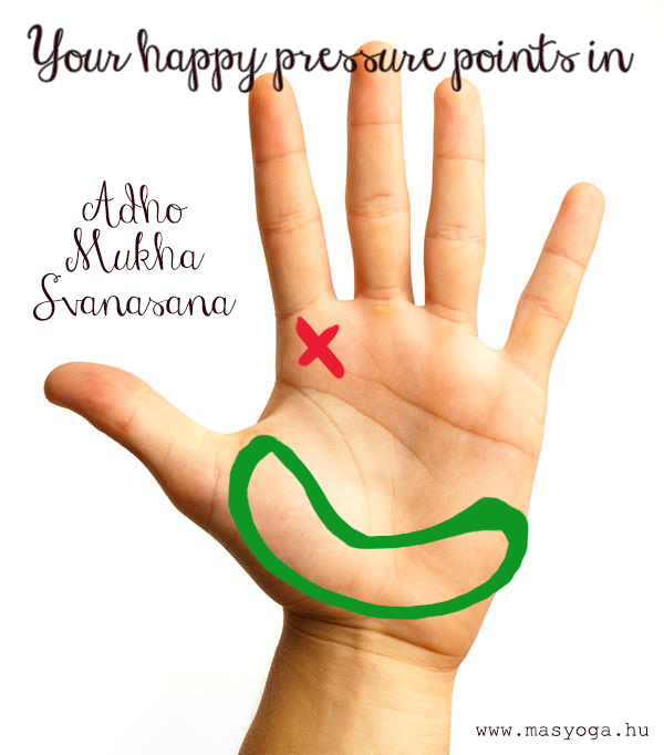 Your happy pressure points in Adho Mukha Svanasana