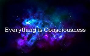 Everything is consciousness